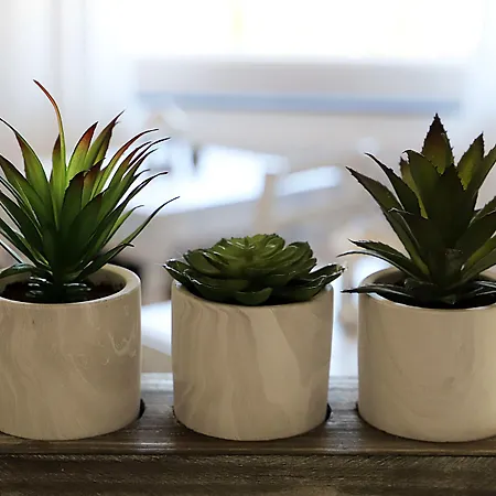 Sunrise Bed and Breakfast