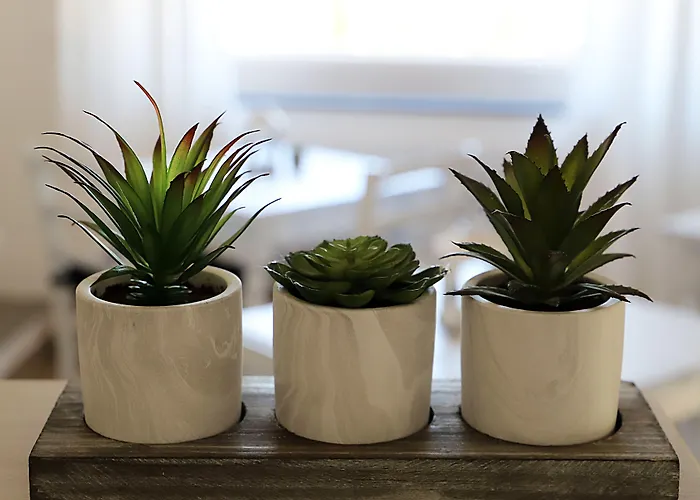 Sunrise Bed & Breakfast